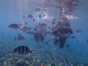 沖縄マリンクラブ結の写真4