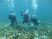 DivingHouse 3PIECE DIVERSの写真2