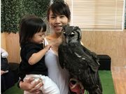 owlcafeふくろう茶房新宿店の写真2