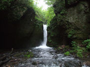 軽井沢ウェルネストリップ/Karuizawa Wellness Tripの写真3