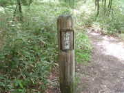 小田代橋の写真1