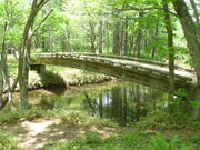 湯川赤沼橋の写真1