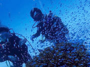 ダイビング・マリンスポーツ初心者専門店海屋の写真3