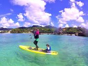 沖縄マリンスポーツWAKEの写真3