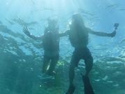 SALTY MARINE(ソルティーマリン)の写真3