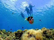 アイランド倶楽部の写真3