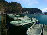 フィッシング光栄の写真3