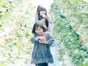 なかはた農園の写真3