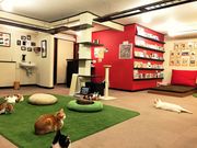 ミューキーズの写真4