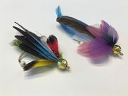 目細八郎兵衛商店の写真3