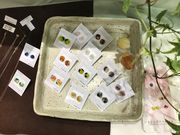 imarie stained glassの写真3