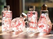 サニーハウスBraganzaの写真2