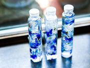 サニーハウスBraganzaの写真3