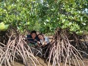 西表島カヌーツアー案内三拝云の写真2