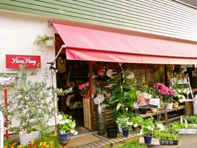 Ylang Ylang イランイランの写真1