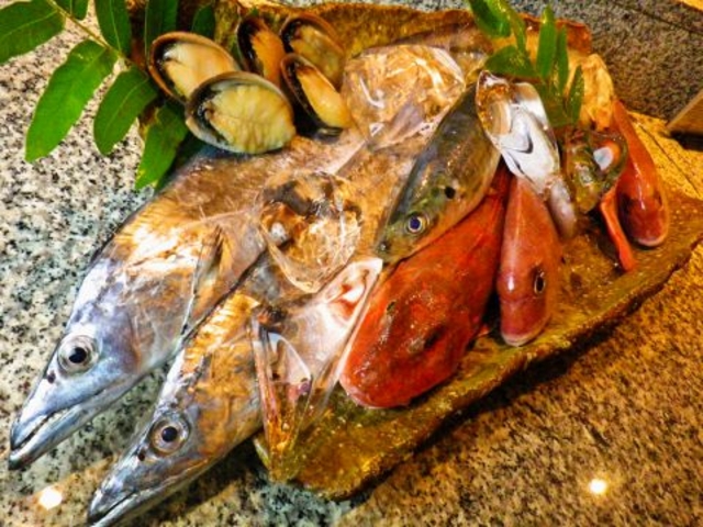 銀平 吉田店の写真1