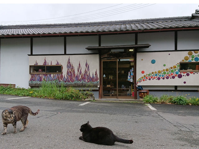 店長のクロと副店長のシマです!
_大津晃窯