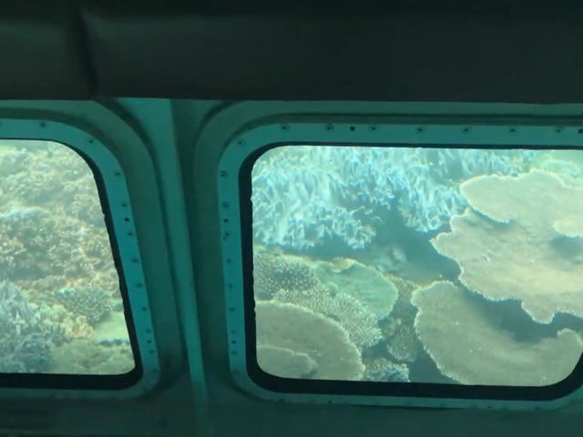 水中展望室 窓_マリン観光開発