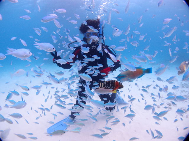 体験ダイビング魚たち囲まれて!_石垣島トータルマリン