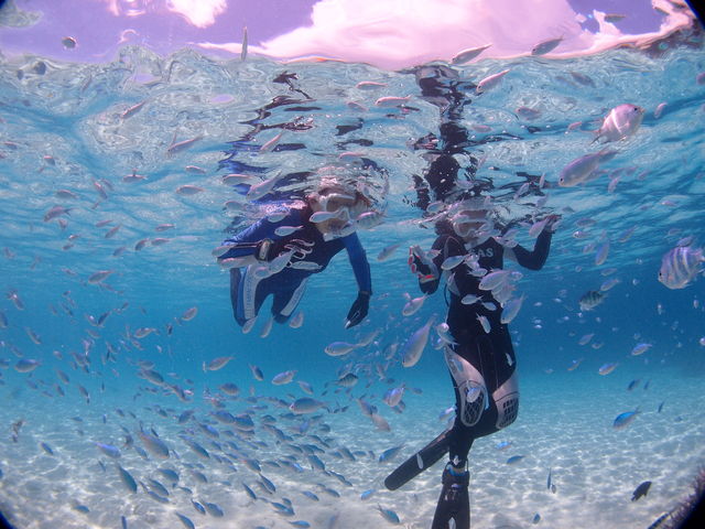 魚たちと戯れる海!_石垣島トータルマリン