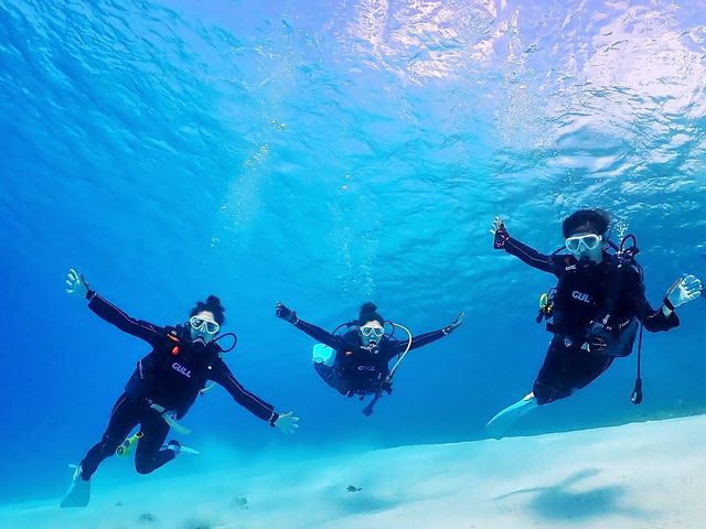 透明度の高い海でダイビング!_ダイビングチーム潮