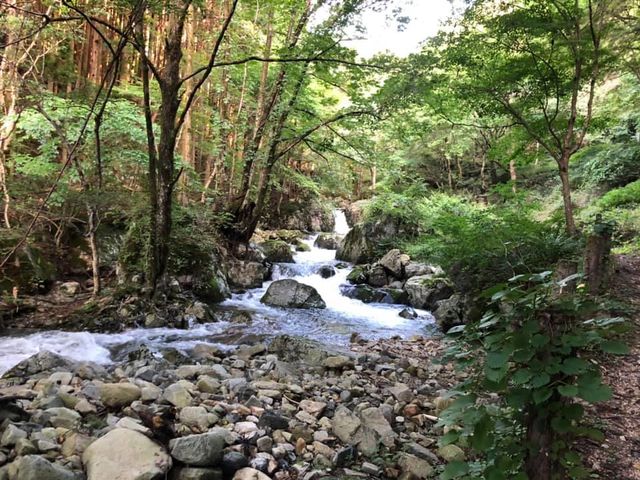 白賀渓谷管理釣り場 白賀釣センター