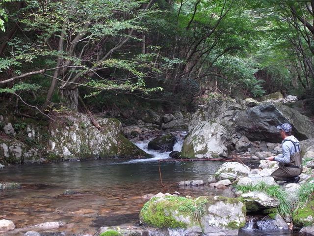 白賀渓谷管理釣り場 白賀釣センター