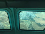 マリン観光開発の写真3