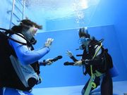 ダイビングショップ シーポイントの写真3