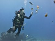 アディーコーストの写真2