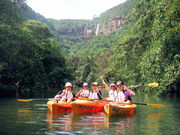 西表島カヌークラブ ぱいしぃずの写真2