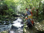 西表島カヌークラブ ぱいしぃずの写真4