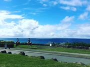 RYUKYU GLASS WORKS 海風の写真2