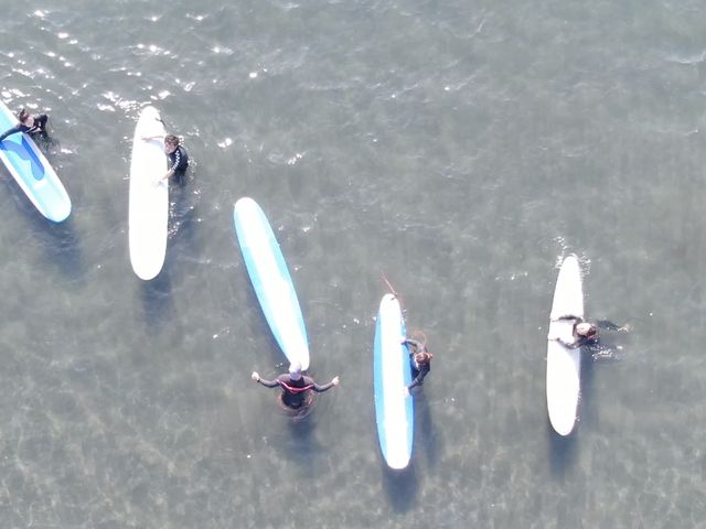 HALE surf