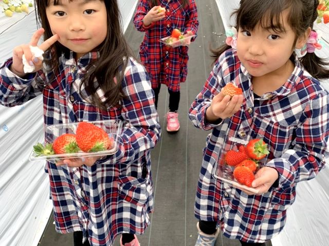 光いちごファーム