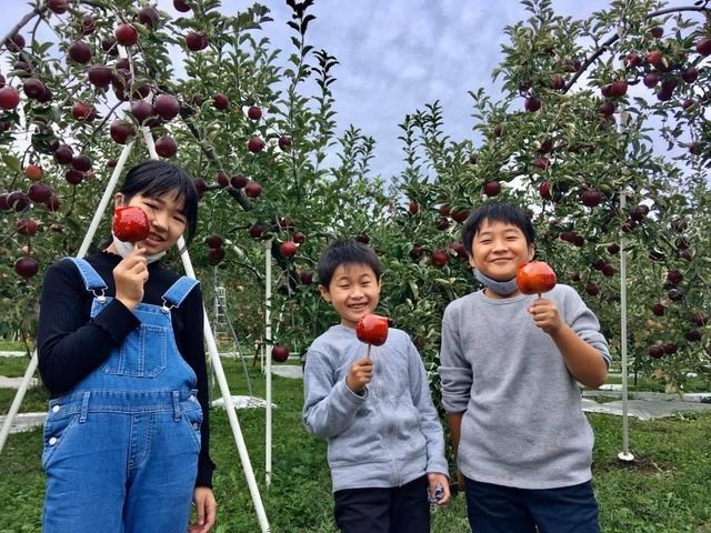 世界にひとつだけのオリジナルりんご飴を作ることができます!_NTA FARM