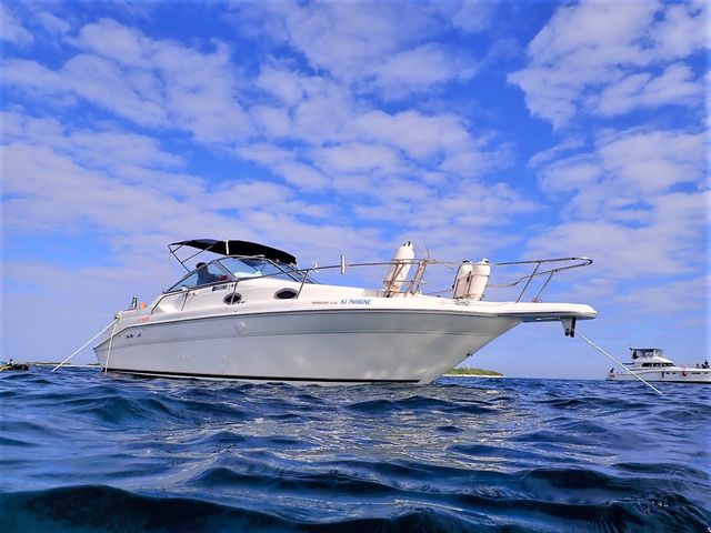 慶良間エリアで貸し切りクルーザー_KJ MARINE