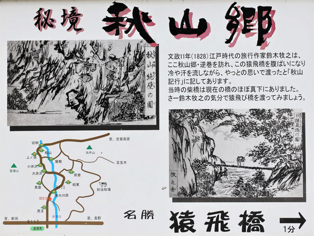 秋山郷 猿飛橋