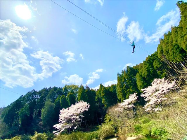 非日常の樹上体験で家族や、旅行の思い出づくりを♪_フォレストアドベンチャー・吉野ヶ里