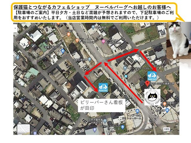 駐車場は無料の共用駐車場が約20台!_保護猫とつながるカフェ&ショップNouvelle Vague