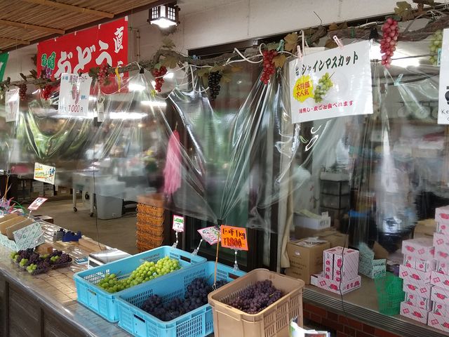 新型コロナウイルス対策も行っています。皆様のご協力をお願い致します。_一古園