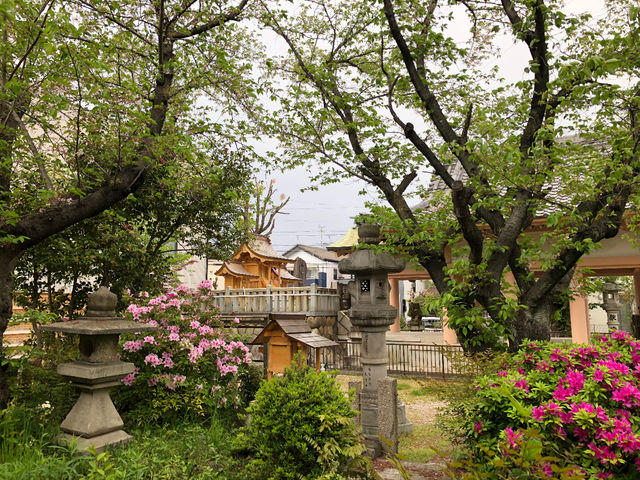 会場の千年八幡神社の境内です。春は桜が咲き、季節を感じられる教室です。_絵画造形教室アトリエキッズ
