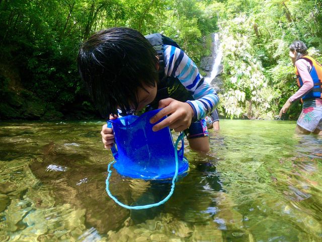 わくわく屋
