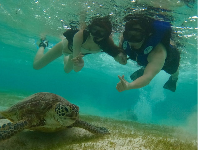 ウミガメツアーもやってます♪
遭遇率は99%!?
カメさんと一緒に写真を撮ろう!
サンゴと熱帯魚メインのシュノーケルツアーもありますよ〜!_宮古島SUP STYLE