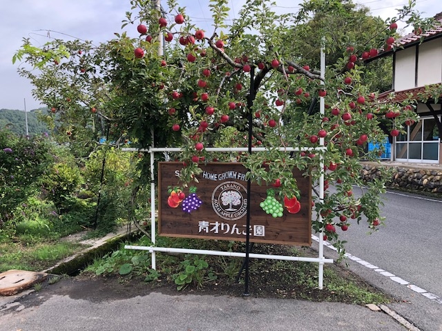 この看板を目印に!_青才りんご園