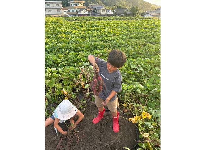 橋本農園