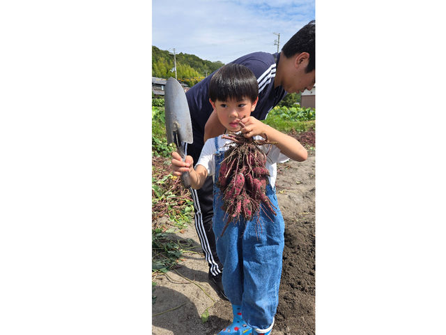 2024.9.28 たくさんゲットしました_橋本農園