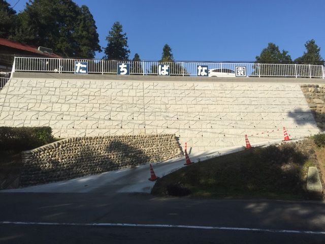 ここ(駐車場の反対側)から徒歩で上がってください。受付がございます。_たちばな園