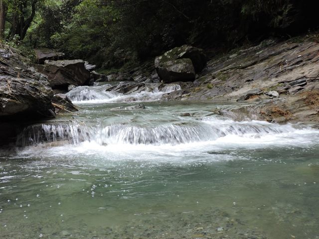 名水(日本水)を水源とする風布川の清流です。_たちばな園