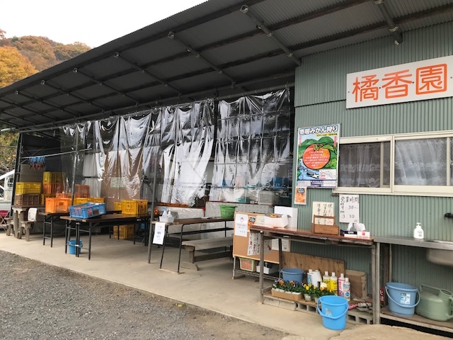 橘香園